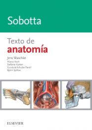 Sobotta. Texto de anatomía