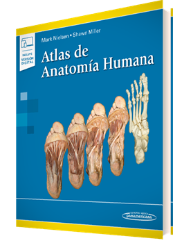 Atlas de Anatomía Humana