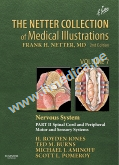 The Netter Collection of Medical Illustrations: Nervous System, Volume 7, Part II - Spinal Cord and Peripheral Motor and Sensory Systems