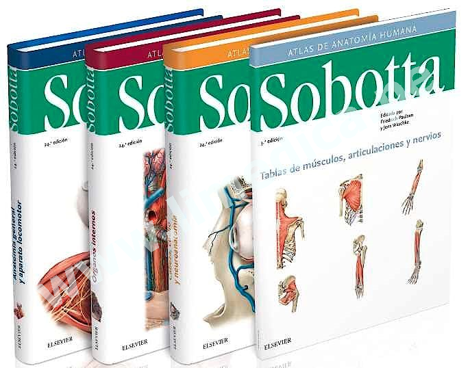 Sobotta. Atlas de anatomía humana   4volumen  