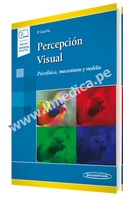 Percepción visual Psicofísica, mecanismos y modelos.