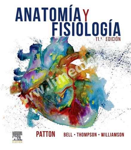 Anatomía y fisiología