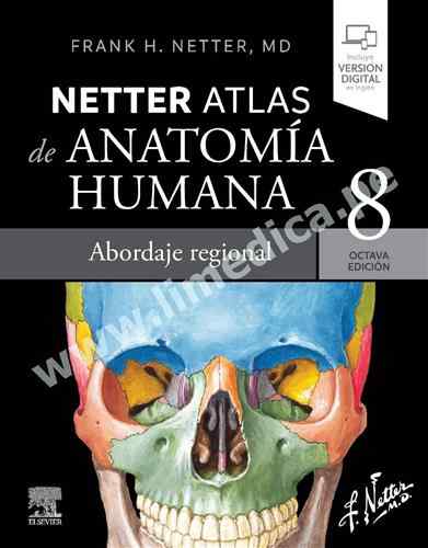 Netter. Atlas de anatomía humana. Abordaje regional