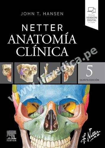 Netter. Anatomía clínica