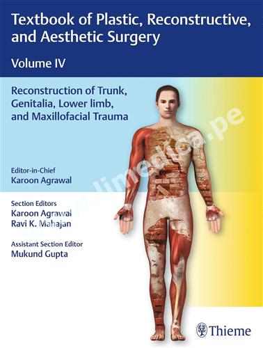 Textbook of Plastic, Reconstructive, and Aesthetic Surgery, Vol 4