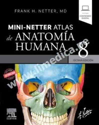 Mini  Netter. Atlas de anatomía humana 