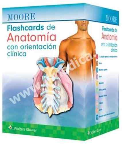 Moore. Flashcards de Anatomía 