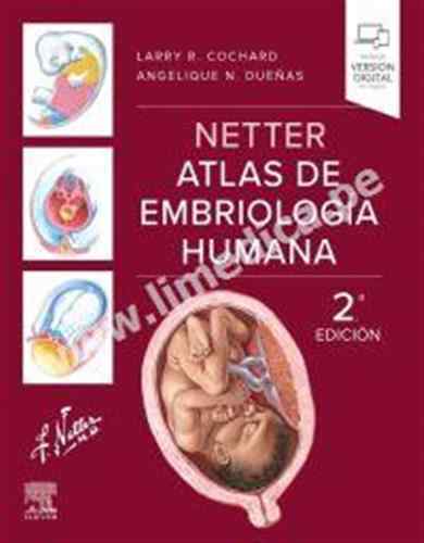Netter Atlas de embriología humana