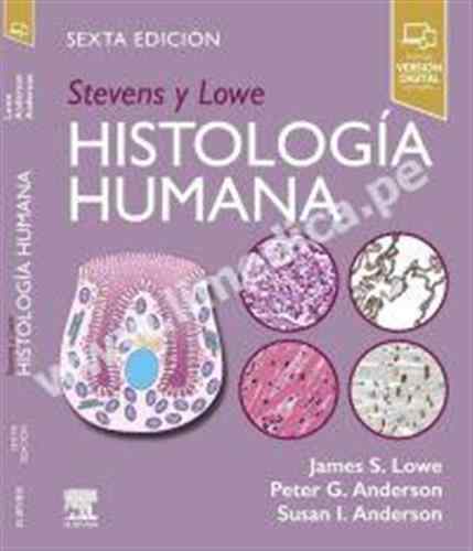 Stevens y Lowe. Histología humana