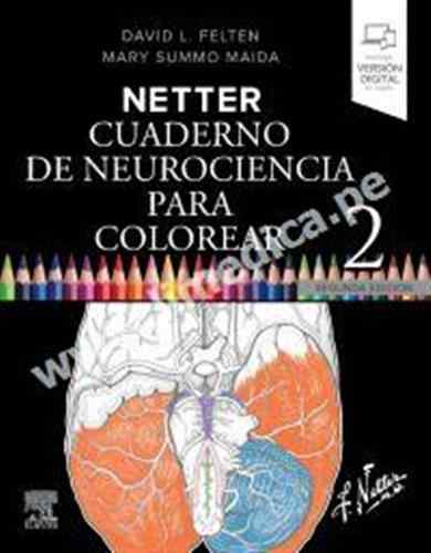Netter. Cuaderno de neurociencia para colorear